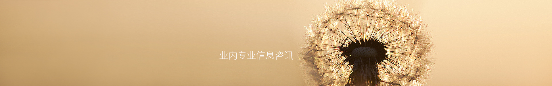 下载imToken